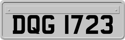 DQG1723