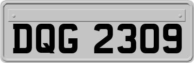 DQG2309