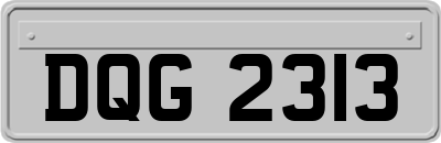 DQG2313