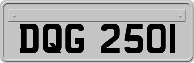 DQG2501