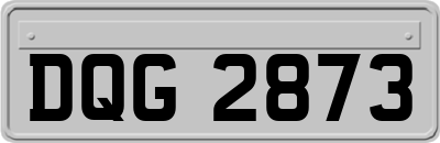 DQG2873