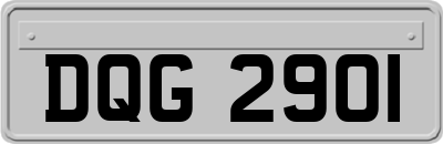 DQG2901