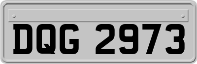 DQG2973