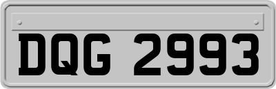 DQG2993