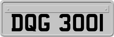 DQG3001