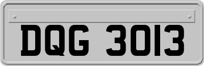 DQG3013