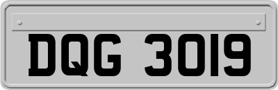 DQG3019