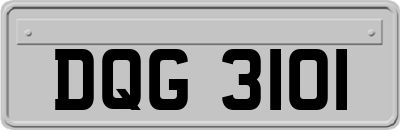 DQG3101
