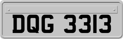 DQG3313