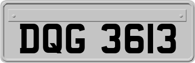 DQG3613
