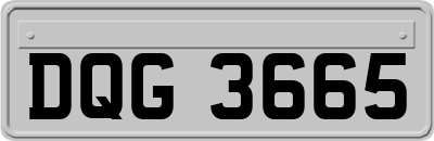 DQG3665
