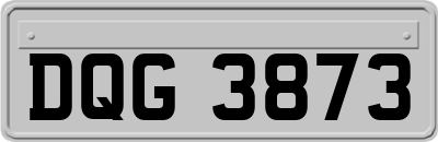 DQG3873