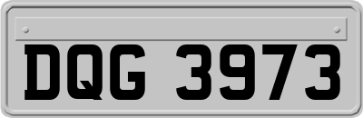 DQG3973