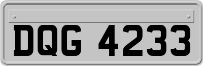 DQG4233