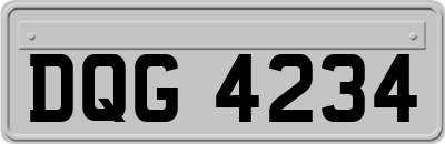 DQG4234