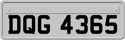 DQG4365