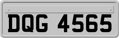 DQG4565