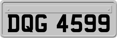 DQG4599