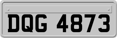 DQG4873