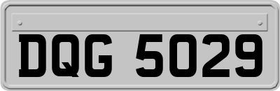 DQG5029