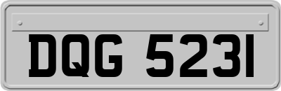 DQG5231