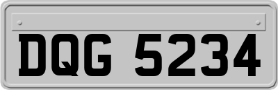 DQG5234