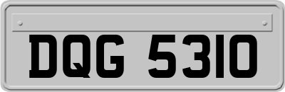 DQG5310