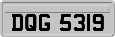DQG5319