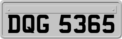 DQG5365