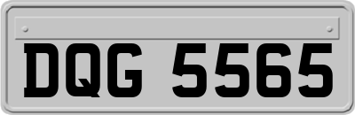 DQG5565