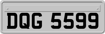 DQG5599