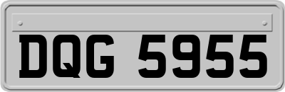 DQG5955