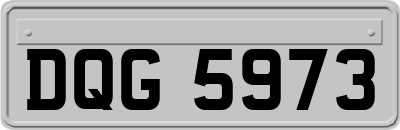 DQG5973