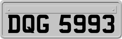 DQG5993