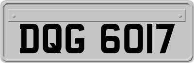 DQG6017