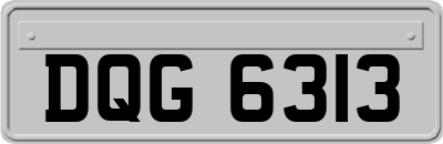 DQG6313