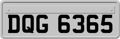 DQG6365