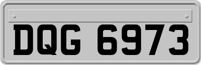 DQG6973