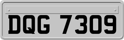DQG7309