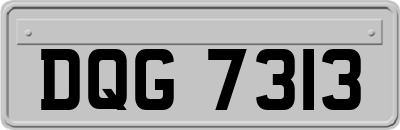 DQG7313