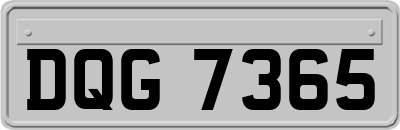 DQG7365