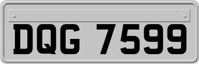 DQG7599