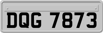 DQG7873
