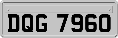 DQG7960