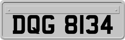 DQG8134