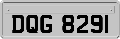 DQG8291