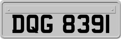 DQG8391
