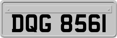 DQG8561