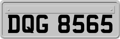 DQG8565