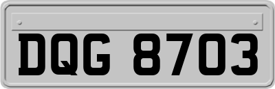 DQG8703